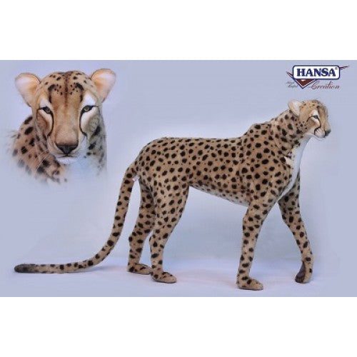 6544 cheetah jacquard 500x500 1